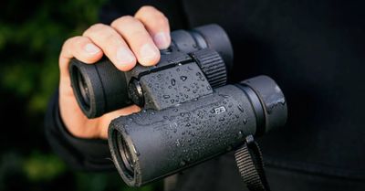 Why The Nikon PROSTAFF P3 Should Be Your Next Set Of Binoculars