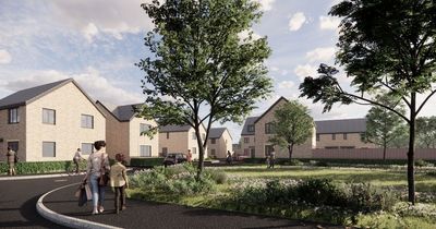 New Frome homes set for former Cuprinol Somerset factory site