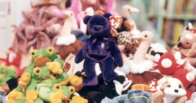 'I paid £2 for Beanie Baby at Goodwill and sold it for £176 - keep your eye out'