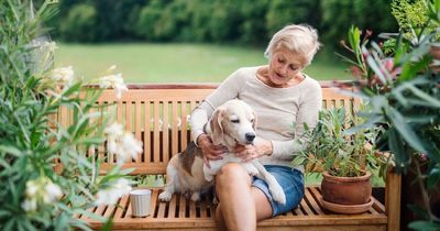 'My neighbour wants to sit with her dog in my garden - even though we live near a park'