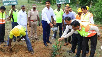 4.5 lakh more saplings to be planted along Chennai-Bengaluru Highway