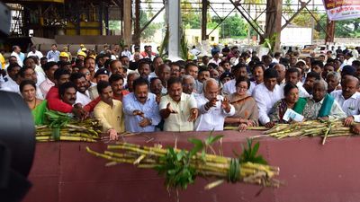 Crushing operation commences at Mysugar