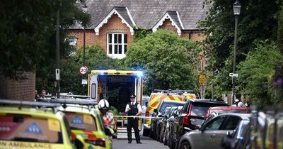 Girl, 8, dies after Land Rover ploughs into Wimbledon primary school 'during tea party' as woman arrested