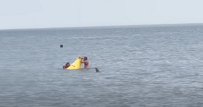 Irish footballers get circled by porpoise while sea swimming at popular Dublin spot as World Cup preparations continue
