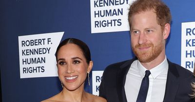 Meghan and Harry will 'divide and conquer' with their own 'passion projects'
