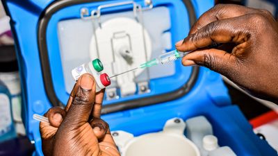 UN to roll out 18 million malaria vaccines across 12 African countries by 2025