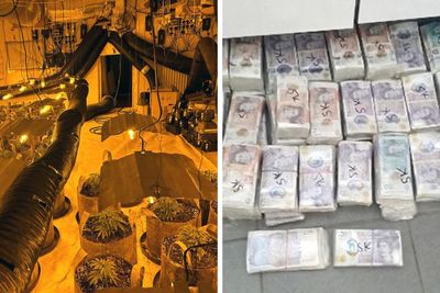 Largest-ever UK-wide crackdown on cannabis farms sees more than 1000 arrests