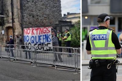 'Totally political': Protester slams reason given for arrest at King's parade