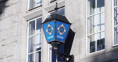 Two injured after being attacked by burglars during break-in in Cork city