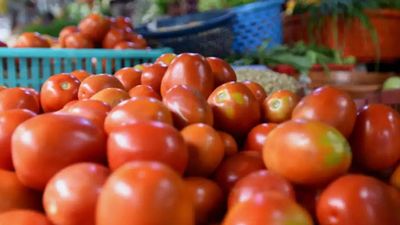 Tomatoes worth Rs 2.7 lakh stolen from Karnataka farm, as rising prices make it a precious commodity