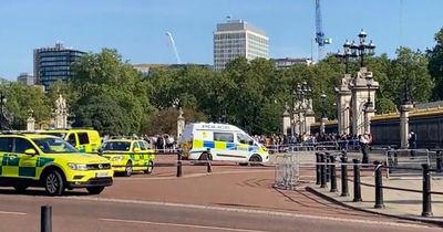 Man handcuffs himself to Buckingham Palace gates as paramedics negotiate with him