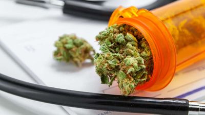 Florida Bans Medical Marijuana in All State-Licensed Rehabs and Sober Living Houses