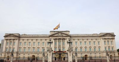 Man handcuffs himself to Buckingham Palace gates