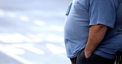 'New drugs could burn off excess fat and lead to obesity treatments to control diabetes'