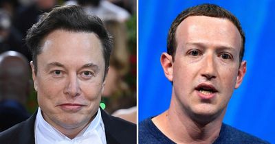 Elon Musk's Twitter theatens to SUE Zuckerberg's Meta as letter released in full