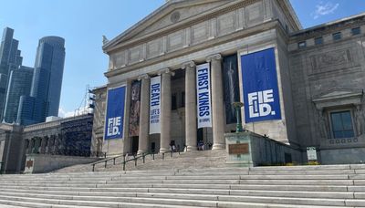 Shedd, Field Museum, Art Institute saw thousands of visitors over NASCAR, July Fourth weekend