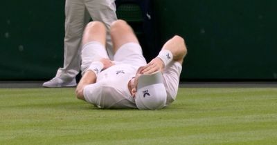 Andy Murray denied comeback by Wimbledon curfew as groin strain has him screaming in pain