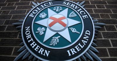 Police called to scene of alleged stabbing at underage GAA game in Tyrone