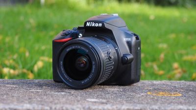 I miss yesterday's entry-level DSLRs, and their replacements are not what they seem