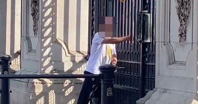 Man who handcuffed himself to Buckingham Palace arrested and 'taken to hospital'