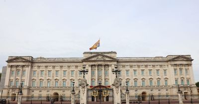 Man arrested after being handcuffed to Buckingham Palace gates for nearly EIGHT hours