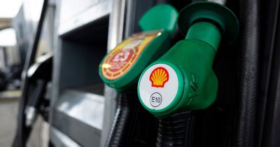 Shell expects ‘significantly lower’ trading in gas business