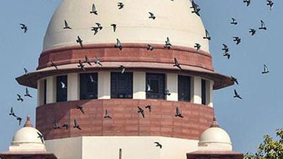 Sexual harassment at workplace cases: SC refuses to entertain plea to protect complainants, witnesses