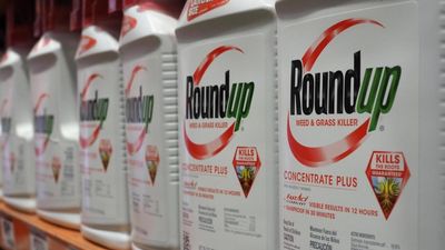 Report paves way for EU to renew glyphosate use
