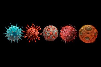 Gene-Swapping Viruses Are Likely Behind Antibiotic Resistance