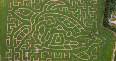 It takes two hours to walk around this maze, can you complete it in two minutes?