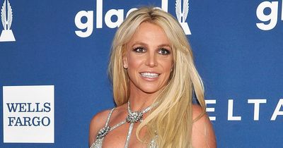Britney Spears 'slapped to the ground' in clash with bodyguard of NBA star
