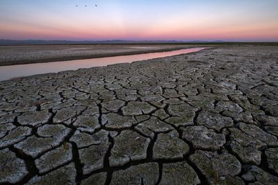 Scientists warned of Salton Sea disaster