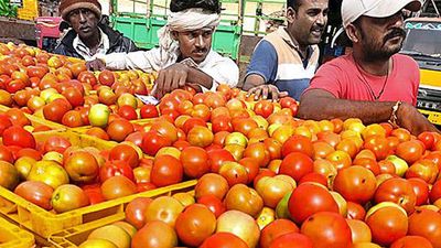 Data | Retail price of tomatoes more than ₹100 a kilogramme in over 50 cities