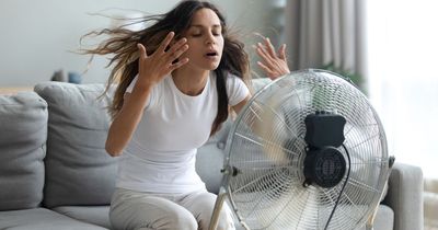 Hotter weather could add an extra £380 to energy bills - see list of worst appliances