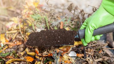 7 composting mistakes to avoid