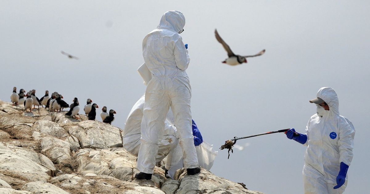 Warning to public as bird flu outbreak confirmed