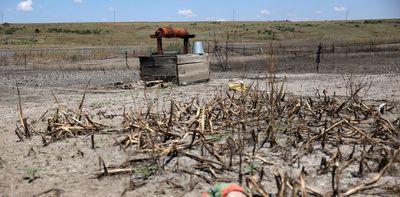 Kakhovka Dam breach in Ukraine caused economic, agricultural and ecological devastation that will last for years