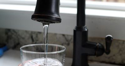 'Forever chemicals' that may cause cancer found in nearly HALF of all US tap water