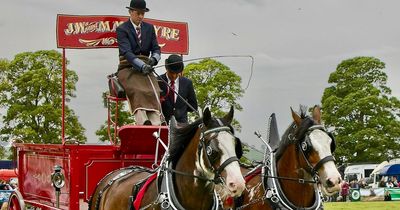 Heavy horse spectacle and tractor football among host of fun lined-up for Perth Show