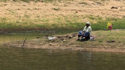 Forest dept. embarks on project to conserve, augment fish wealth of Periyar Tiger Reserve