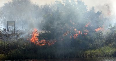 Firefighters tackle over 2,000 arson attacks this year - with Gateshead nature reserve targeted 11 times in a month