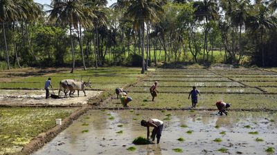 Amidst fear of drought, Budget reintroduces Krishi Bhagya climate resilient scheme