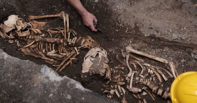 Ancient skeletal remains found on site of planned Dublin city centre hotel