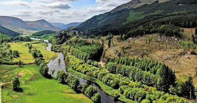 Perthshire river teeming with trout and surrounding woodland put on the market for £100,000