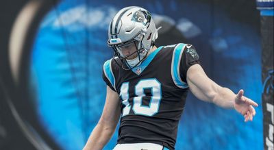 Panthers’ Johnny Hekker ranked 3rd-best punter in NFL