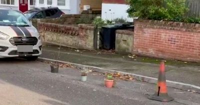 'Selfish' neighbour saves parking spot with cones and plant pots causing issues