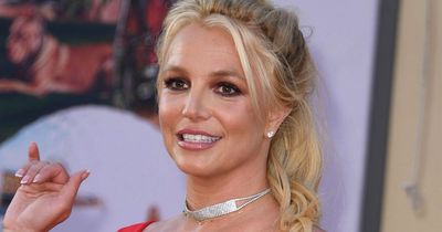 Cops confirm Britney Spears 'hit herself in face' during incident with NBA star's bodyguard