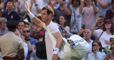 Andy Murray makes confession after 'disappointing' defeat at Wimbledon