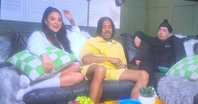 Channel 4 Celebrity Gogglebox fans fume over N-Dubz trio's screen time