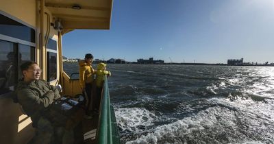 SES called in as 70km winds smash the Hunter coastline